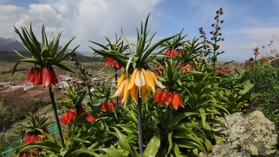 Bu insanlar neye bakıyor? Gece-gündüz nöbet tutuyorlar, ilk kez görenler şaştı kaldı! 38